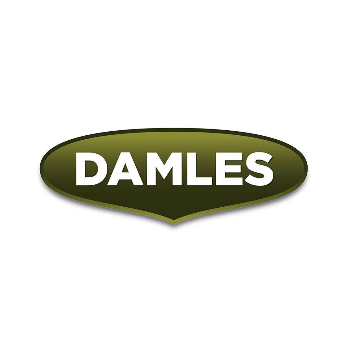 Diseño gráfico - Logotipo y Naming - Imagen corporativa Damles